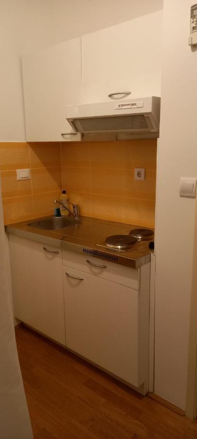 Apartment Zsa Zsa Zenta 1